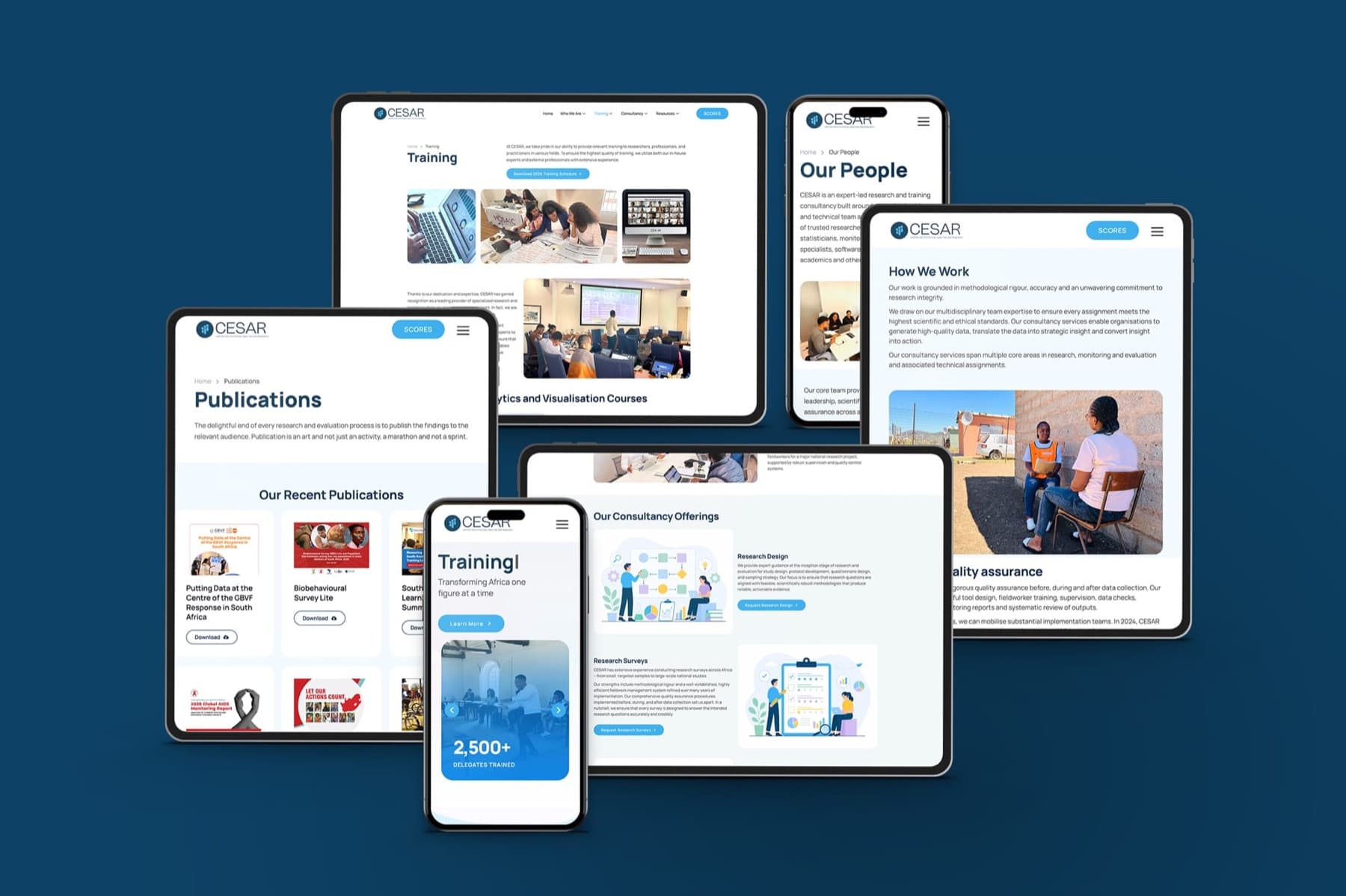 CESAR Africa Website Redesign, image 3