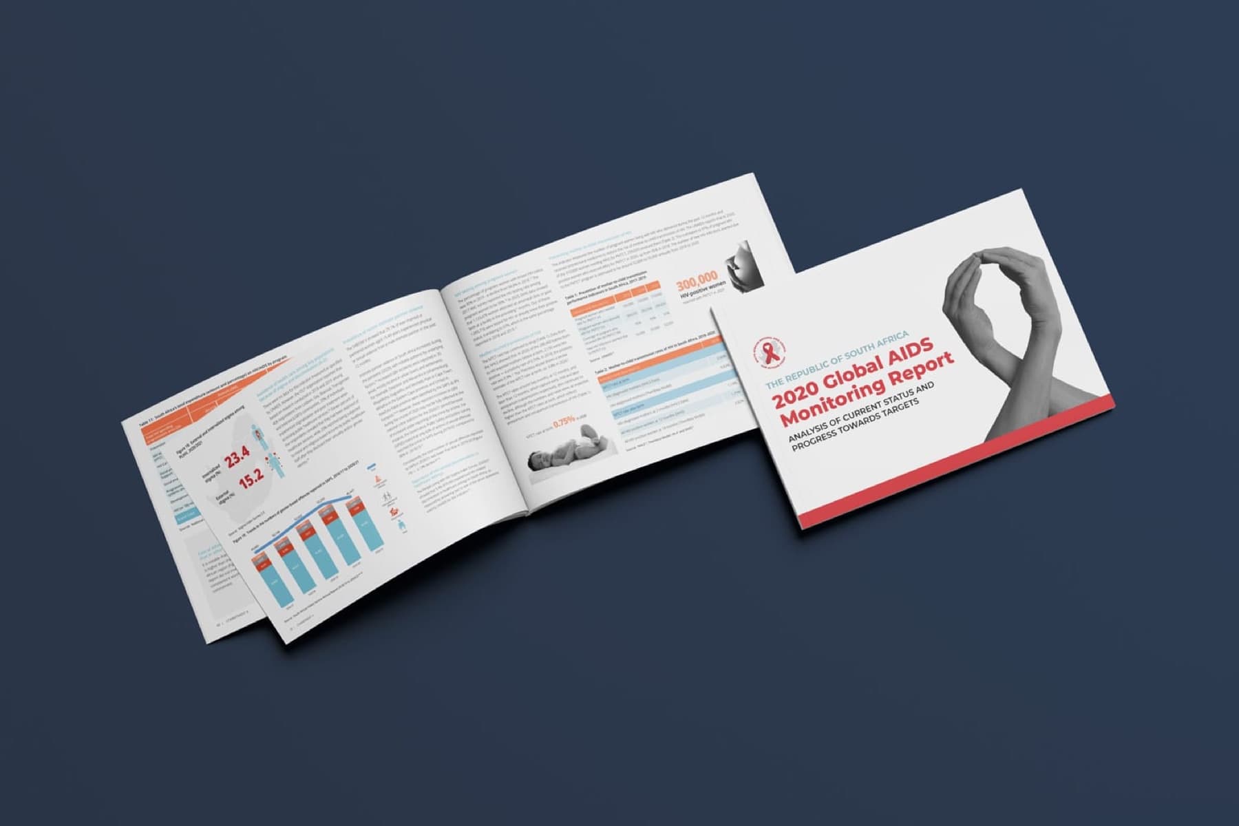 2020 South Africa Global AIDS Monitoring Report, image 2