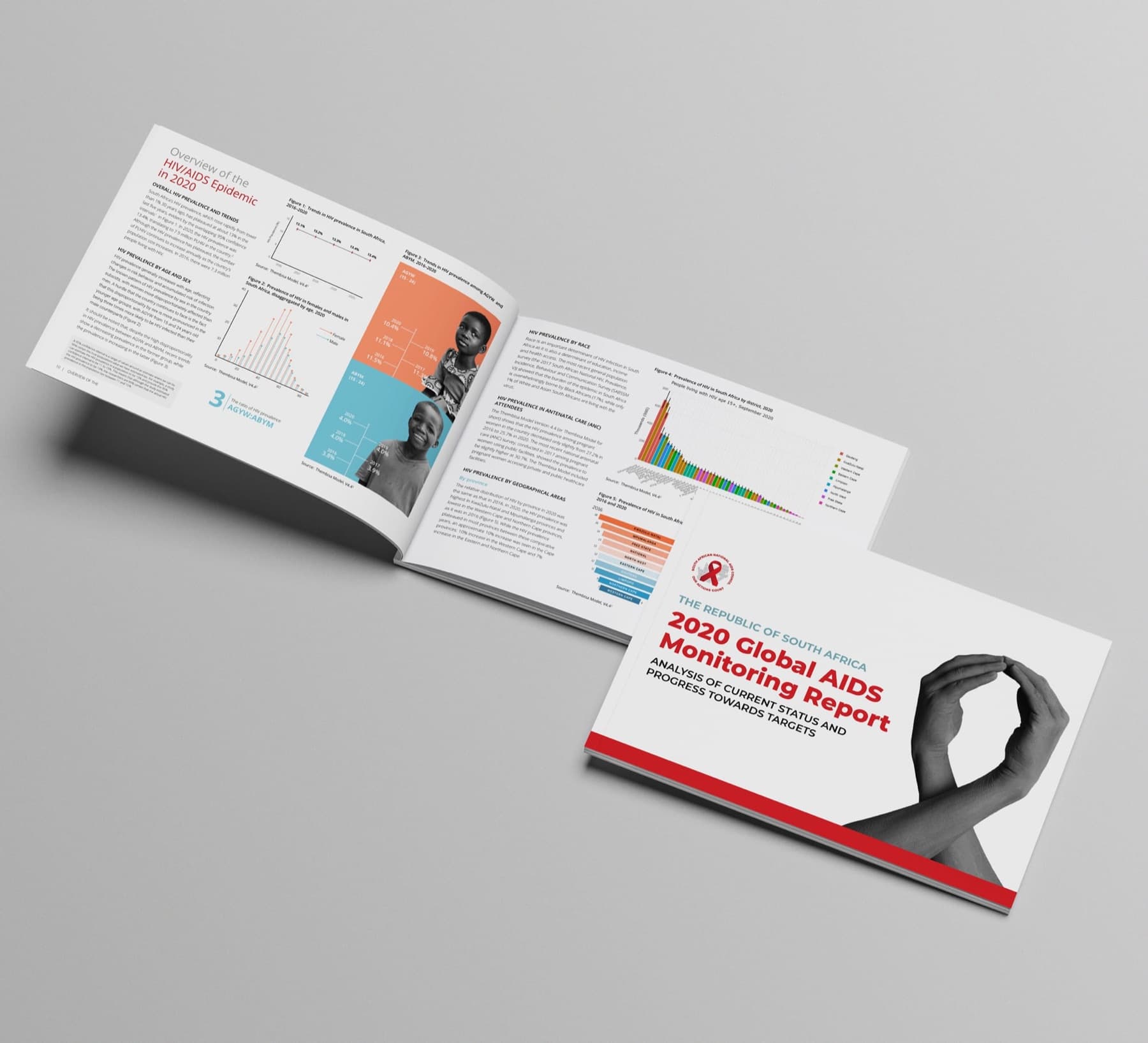 2020 South Africa Global AIDS Monitoring Report, image 3